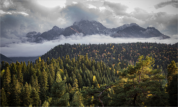 In den Wolken / ***
