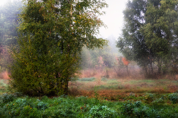Herbst / ***