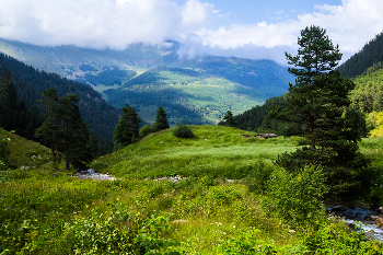 Hütte / ...