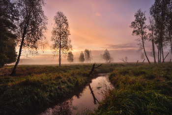 Nebel zerstreut / ***