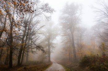 Autumn etude / ***