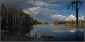 Dead Wasser / ***