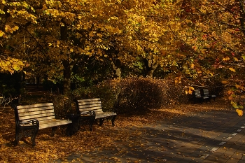 Im Herbst Park / ***
