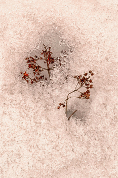Leben rund um / ***