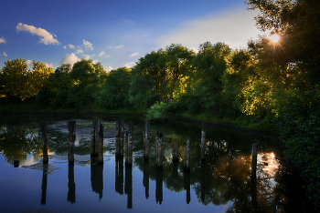 Alter Teich ... / ***