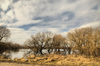 Hohe Wasser / ***