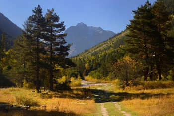 Ging Herbst / ***