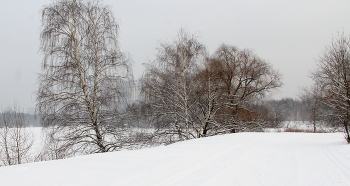 Landschaft / ***