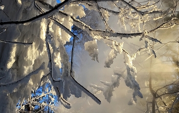 Rime / ***