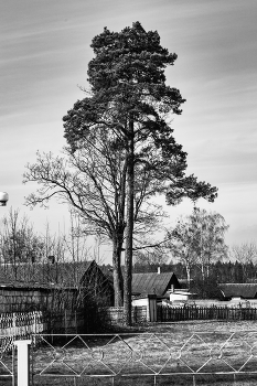 Landschaft im ländlichen Raum / ***