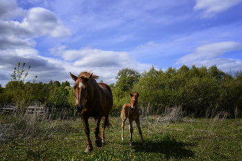 Ortsrand ... / ***