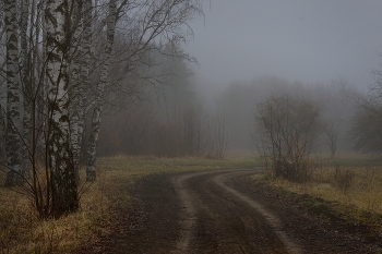 Nebliger Morgen / ***