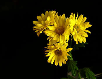 Solar- / ***