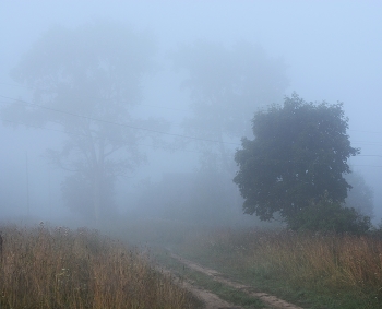 Foggy Morning ... / ***