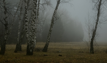 Nebliger Morgen / ***
