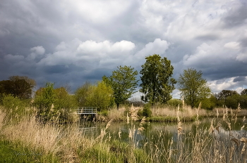 Frühling / ***