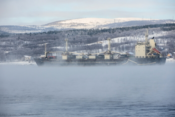 In der frostigen Nebel / ***
