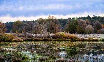 Herbst / ***