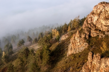 durch Nebel dominiert / ***