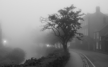 Nebliger Morgen / ***