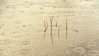 Leben rund um / ***