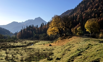 Herbstmorgen ... / ***