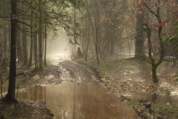 Nach der regen ... / ***
