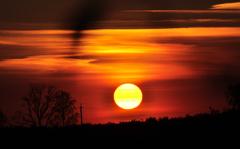 Der müde Sonne / ***