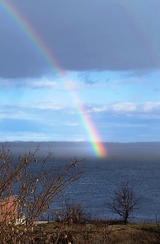 Regenbogen / ***
