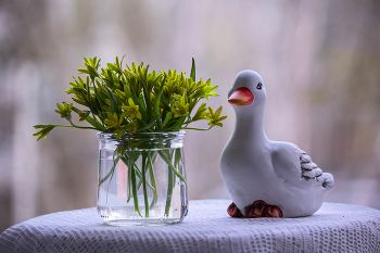 Goose Zwiebel / ***