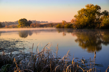Herbst / ***