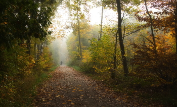 Nur Herbst / ***