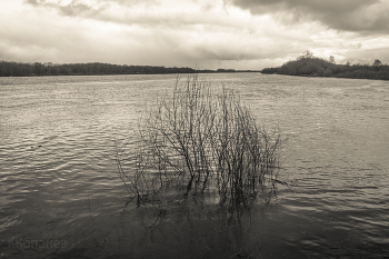 Hohe Wasser / ***