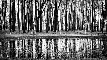 Leben rund um / ***