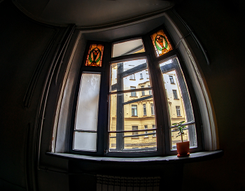 Fenster / ***