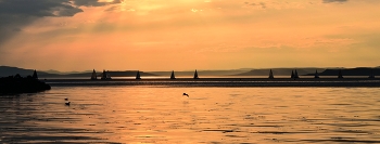 silhouettiert am Sonnenuntergang / ***