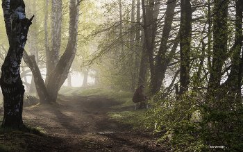 Nebel zerstreut / ***