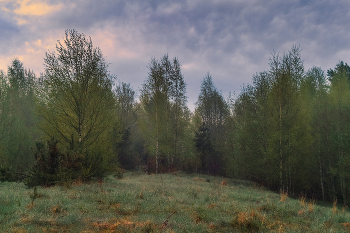 Am Rande / ***