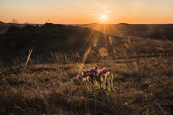 Aprilabend / ***