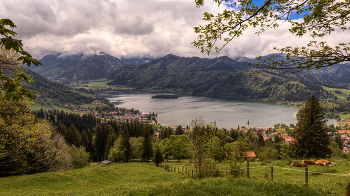 Seeblick / Blick auf den Schliersee