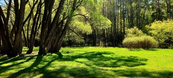im Park / ***
