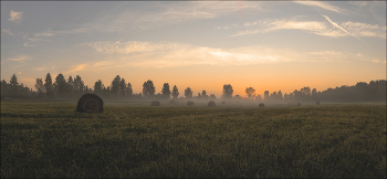 am Morgen / ***