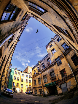 Vogel / ***