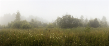 da hinter Nebeln / ***