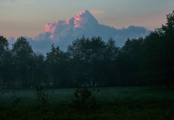 Wolke / ***
