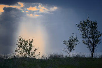 Licht / ***