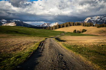 Weg / ***
