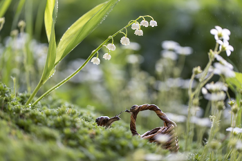 Das Treffen ... / ***