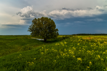 Vor dem Sturm / ***