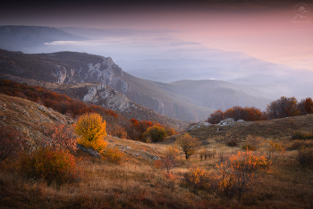 Autumn Walk / ***